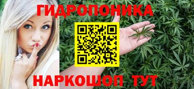 прущие крисы Краснознаменск