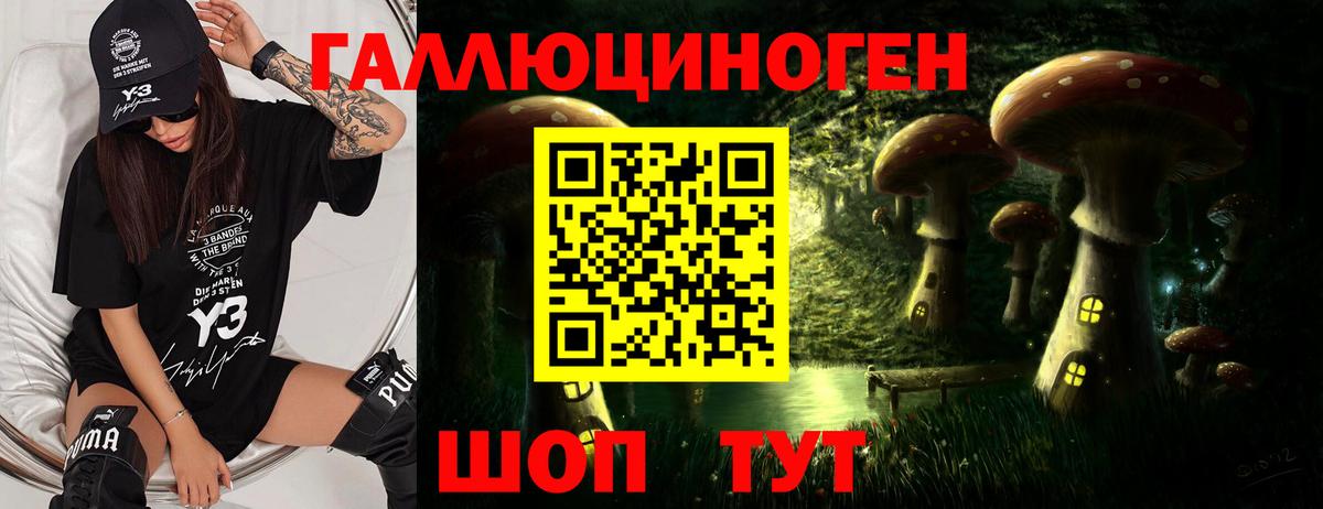Псилоцибиновые грибы прущие грибы  что такое   Киров  Вход с VPN  Псилоцибиновые грибы прущие грибы 